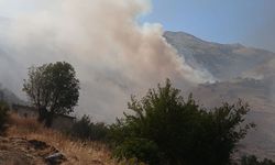 Arazi yangınına 20 araç ve 55 personelle müdahale sürüyor