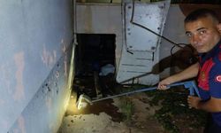 Evin deposuna giren yılan ekipleri harekete geçirdi