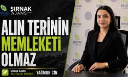 Alın Terinin Memleketi Olmaz