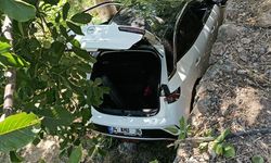 Otomobil bahçeye uçtu, 8 kişi yaralandı
