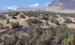 Beytüşşebap'ta orman yangını