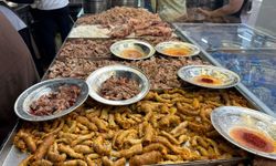 Havalar soğudu, doğal antibiyotiği beyrana ilgi arttı
