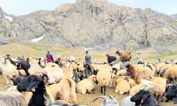 Doğaseverlerden 3 bin 500 rakımlı Sat Gölleri'ne yolculuk