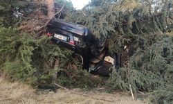 Otomobil ağaca çarptı 1 yaralı