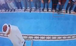 Camide kediyi tekmeleyen şahıs serbest bırakıldı
