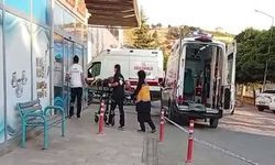 Ceviz ağacından düşen kişi yaralandı