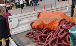 230 kilo sucuk ve 150 kilo peynir imha edilecek