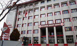 Gülistan Doku soruşturmasında tutuklu sayısı 36 oldu