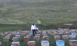 Faraşin’de bal hasadı başladı