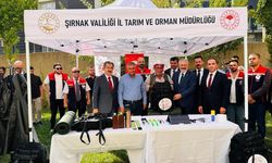 Şırnak’ta üreticiye fide, göçer yetiştiricilere çoban çantası desteği