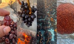 Uludere’de Kuru Üzüm Mesaisi Gelenek Nesilden Nesile Yaşıyor