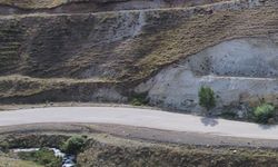 Gizemli yolda araçlar vites boştayken yokuş yukarı gidiyor