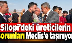 Silopi’de çiftçinin elektrik faturası Meclis’e taşınıyor