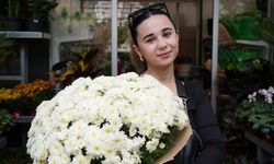 Eylül ayında en çok tercih edilen çiçekler kasımpatı ve sıklamen