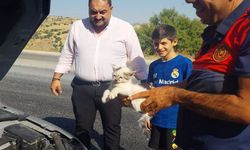 Otomobilin motoruna sıkışan kedi kurtarıldı