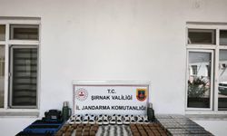 Şırnak’ta 20 milyon TL’lik kaçakçılık operasyonu