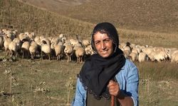 Yaylanın kadın çobanı "Üretici olup, kendi işimi yapmak istiyorum"