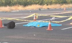 Otomobilin çarptığı kadın hayatını kaybetti