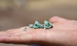 Çayönü Tepesi'nde 9 bin yıllık madencilik işliği ortaya çıkarıldı