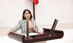 Şırnak Milletvekili Aslan'dan Orman Sınırları Tepkisi