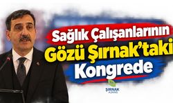 Sağlık Çalışanlarının Gözü Şırnak’taki Kongrede