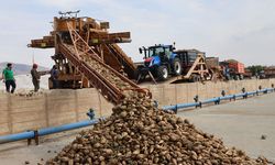 Şeker Fabrikası'nda 71. Kampanya Dönemi açıldı 240 bin ton pancar işlenecek