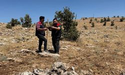 Şırnak’ta büyükbaş hayvancılık yatırımları için arazi etüdü