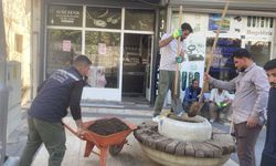 Şırnak’ta sokaklar yeşillendiriliyor
