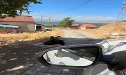 Yaşlı bir adam, eşi tarafından zincirle ağaca bağlanmış şekilde görüntülendi