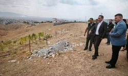 Silopi’de 12 bin fidan damlama sulamayla hayata tutundu