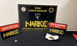 Şırnak’ta Suçla Mücadele Operasyonlarında 8 Kişi Tutuklandı