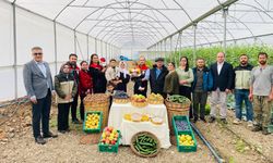 Uludere’de kadın çiftçiden örnek üretim