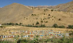 Şırnak’ta arıcılara destek müjdesi, Başvurular başladı