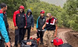 Yağış nedeniyle köyde mahsur kalan hastaya ekipler ulaştı