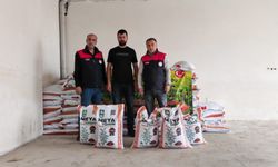 Üreticilere yüzde 70 hibeli kırmızı mercimek tohumu dağıtıldı