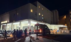 8 yaşındaki kız çocuğuna ütüyle işkence iddiası 3 gözaltı
