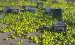 Nurdağı'nda mandalina yüklü kamyon devrildi