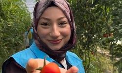 Öğrenciler sera ziyaretinde hasada katıldı