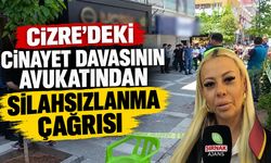 Cizre’deki cinayet davasının avukatından silahsızlanma çağrısı