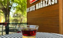 Çay alırken nelere dikkat edilmeli?