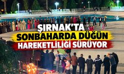 Şırnak’ta Sonbaharda Düğün Hareketliliği Sürüyor