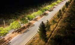 18 kilometrelik yola 472 yeni aydınlatma direği
