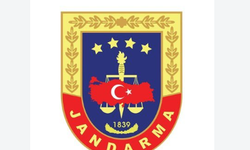 Cizre’de jandarmanın yol kontrolünde dikkat çeken sonuç