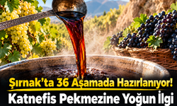 36 Aşamalı Zorlu Yolculuk! Şırnak’ın Katnefis Pekmezi