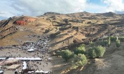 360 numune alındı, Nuh’un Gemisi için gözler Şırnak’ta