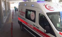 Yaprak sarması 12 öğrenciyi hastanelik etti