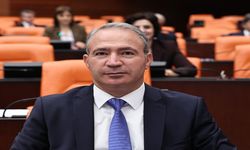 Vekil İrmez’den Şırnak-Güçlükonak Yolu İçin Acil Çağrı