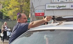 Kasap ile karga arasındaki sıra dışı dostluk görenleri gülümsetiyor