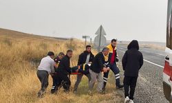 Önce lastiği patladı, ardından şarampole yuvarlandı 1 yaralı