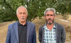Kurttan kaçan keçi dağlık bölgede mahsur kaldı